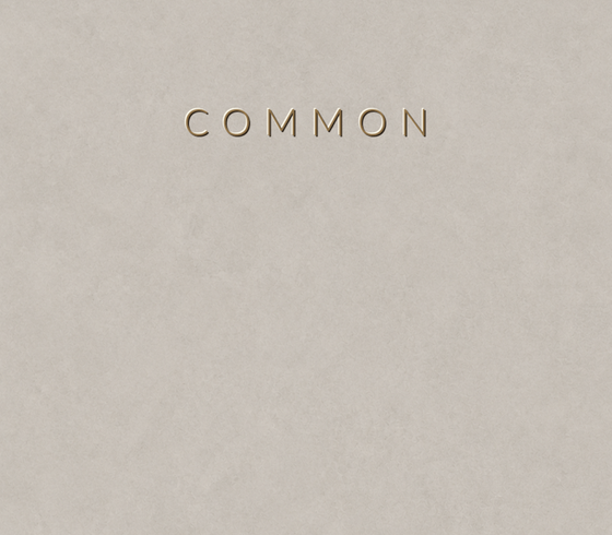 COMMON beton panel renk numunesi ve yüzey dokusu