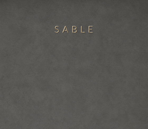 SABLE beton panel renk numunesi ve yüzey dokusu